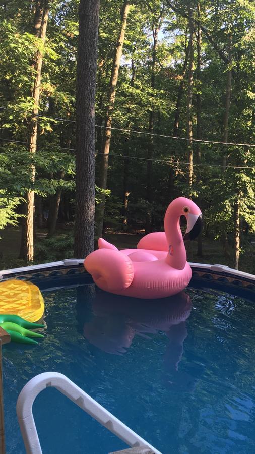 Pocono Cabin With Private Pool At Shawnee Mtn イースト・ストラウズバーグ エクステリア 写真