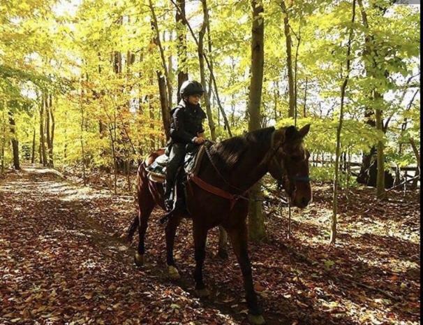 Pocono Cabin With Private Pool At Shawnee Mtn イースト・ストラウズバーグ エクステリア 写真
